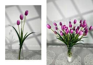 Tulip